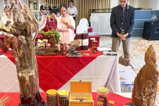 Khánh Hòa đẩy mạnh chính sách phát triển sản phẩm OCOP