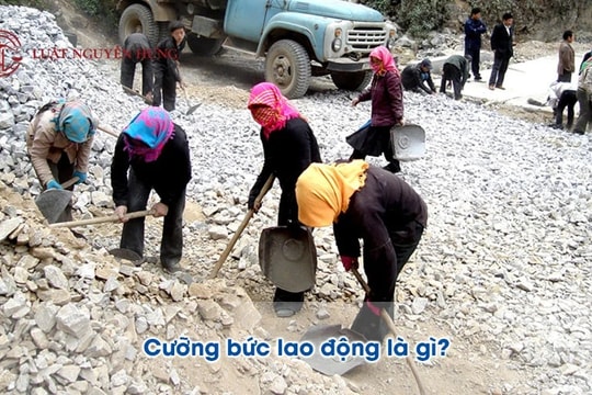 Những yếu tố nào cấu thành tội cưỡng bức lao động theo pháp luật hình sự?