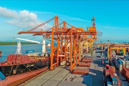 Hải quan Hải Phòng thu trên 87 tỷ đồng từ kiểm tra sau thông quan