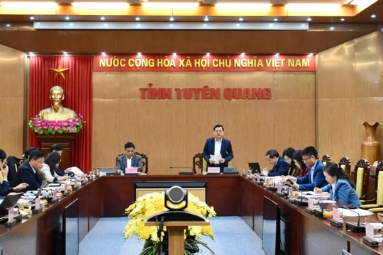 Tuyên Quang cần chú trọng thu hút các dự án đầu tư vào lĩnh vực lâm nghiệp