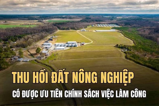 Bị thu hồi đất nông nghiệp có được ưu tiên tham gia chính sách việc làm công không?