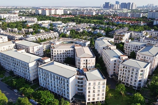 Kỳ vọng rất lớn…