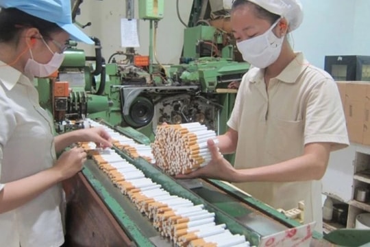 Tăng thuế đối với thuốc lá: Cân nhắc mức tăng, lộ trình tăng phù hợp