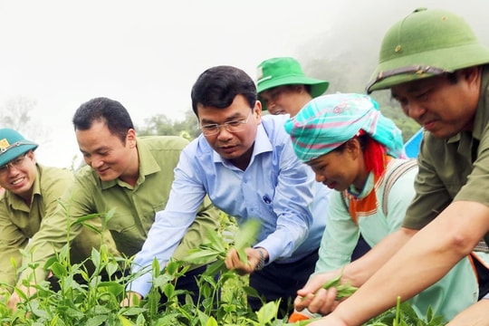 Lào Cai: Phấn đấu đến năm 2030 không còn hộ nghèo