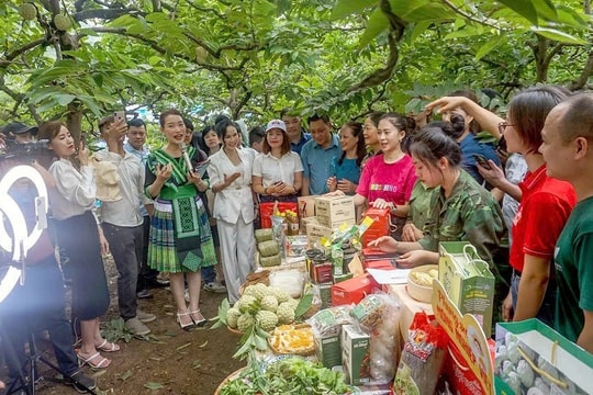 Thái Nguyên tiên phong triển khai gian hàng sản phẩm trên sàn thương mại điện tử