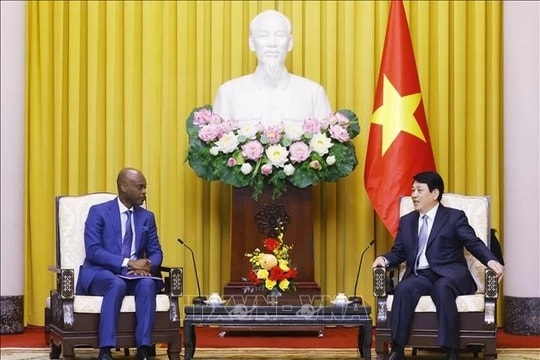 Chủ tịch nước Lương Cường tiếp Bộ trưởng Ngoại giao Togo