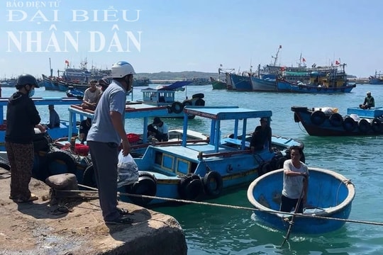 Vùng trọng điểm nghề cá nhưng huyện đảo Phú Quý chưa có cảng cá 