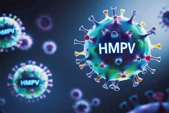 WHO trấn an về virus HMPV
