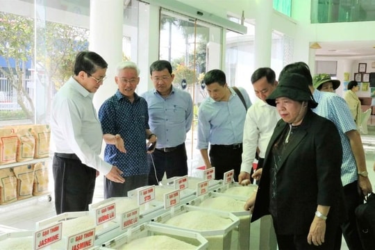 Phó Chủ tịch Quốc hội Nguyễn Đức Hải khảo sát các điểm tham quan của Hội nghị APF