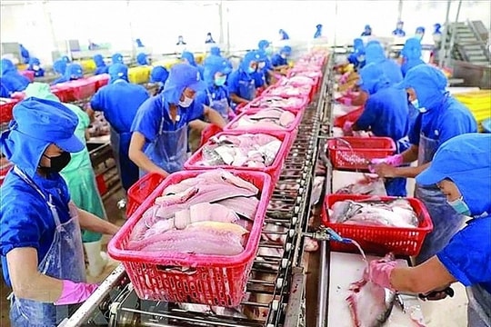 Thủy sản cần động lực tăng trưởng mới