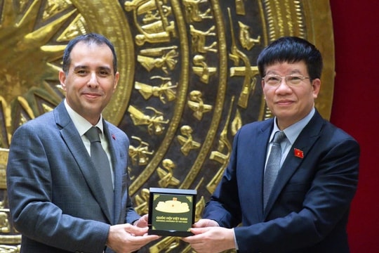 Phó Chủ nhiệm Văn phòng Quốc hội Phạm Đình Toản tiếp Đại sứ Thổ Nhĩ Kỳ