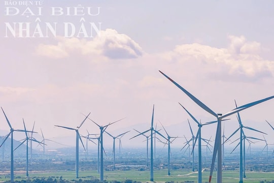 Ninh Thuận sẵn sàng tái khởi động dự án điện hạt nhân 