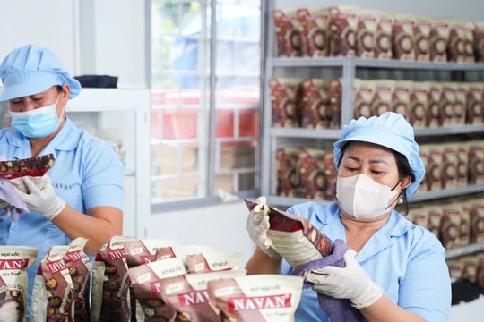 Khát vọng chăm sóc sức khoẻ người Việt từ nguồn dinh dưỡng nguyên sơ thuần Việt