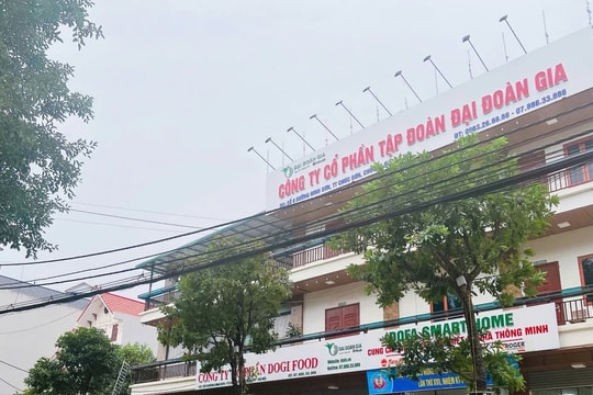 Tập đoàn Đại Đoàn Gia phản hồi một số nội dung liên quan kết luận thanh tra thuế