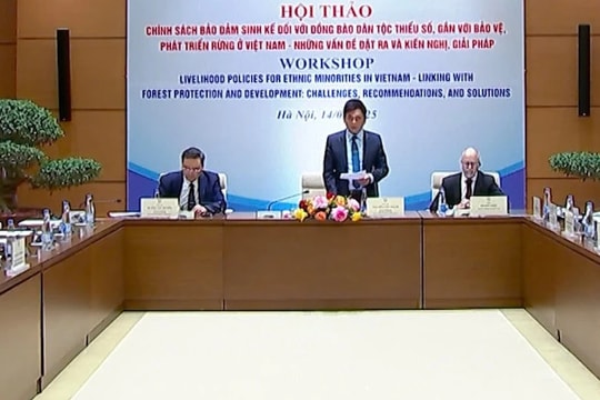 Bảo đảm sinh kế cho đồng bào dân tộc thiểu số gắn với bảo vệ, phát triển rừng