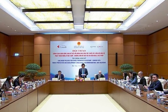 Nghiên cứu các mô hình tổ chức sản xuất dược liệu dưới tán rừng phù hợp cho nông hộ