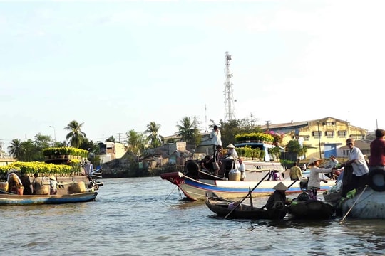 Chợ hoa Xuân Ất Tỵ 2025 tại Chợ nổi Cái Răng