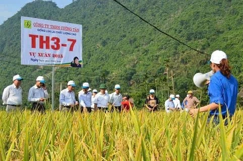 Dấu ấn vốn chính sách trên vùng đất ngọc Lục Yên