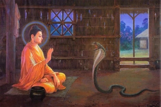 Tâm từ bi cảm hóa muôn loài