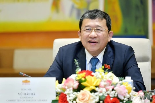 Hội Hữu nghị Việt Nam - Cuba ra Thông điệp đoàn kết với Nhân dân Cuba