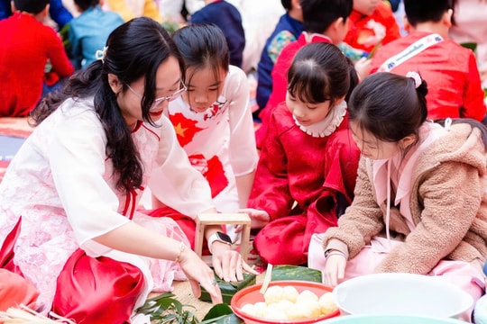 Rộn ràng Lễ hội Mùa Xuân 2025 của Thầy và trò Trường Vietschool Pandora 