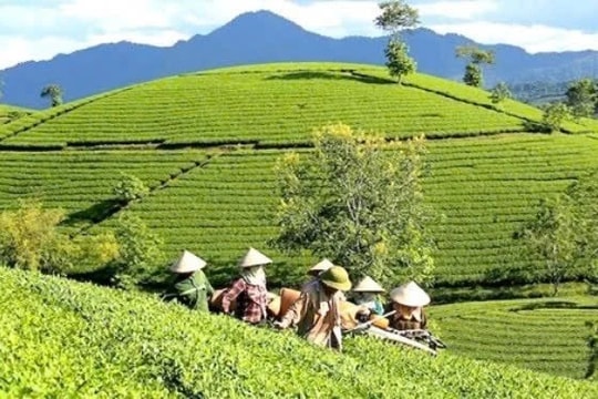 Mang mùa xuân đến người nghèo miền núi Tân Sơn