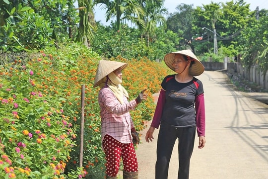 Sức vươn vùng dân tộc thiểu số và miền núi