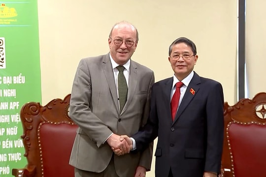 Phó Chủ tịch Quốc hội Nguyễn Đức Hải tiếp Đoàn Nghị sĩ Wallonie-Bruxelles 