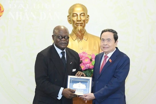 Chủ tịch Quốc hội Trần Thanh Mẫn tiếp Chủ tịch Liên minh Nghị viện Pháp ngữ