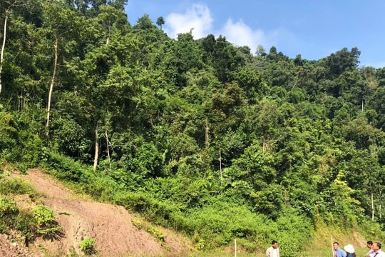 Kịp thời ổn định đời sống người dân