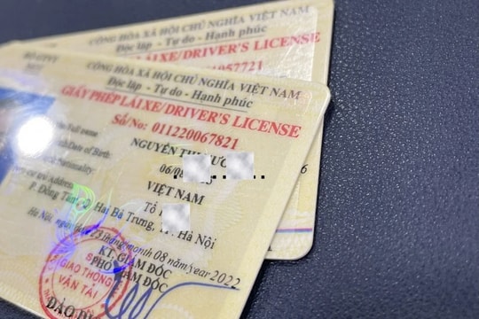 Nguyên tắc trừ điểm giấy phép lái xe theo Nghị định số168?