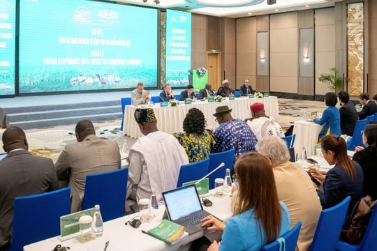 Chia sẻ kinh nghiệm trong ứng phó với biến đổi khí hậu: Hợp tác để khai thác tối đa các nguồn tài chính quốc tế