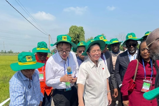 Phó Chủ tịch Quốc hội Nguyễn Đức Hải chủ trì tham quan mô hình nông nghiệp xanh tại Cần Thơ