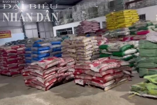 Hai vợ chồng lập 9 công ty để tuồn phân bón giả ra thị trường 