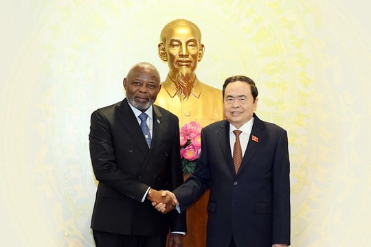 Chủ tịch Quốc hội Trần Thanh Mẫn tiếp Chủ tịch Quốc hội Cộng hòa Dân chủ Congo