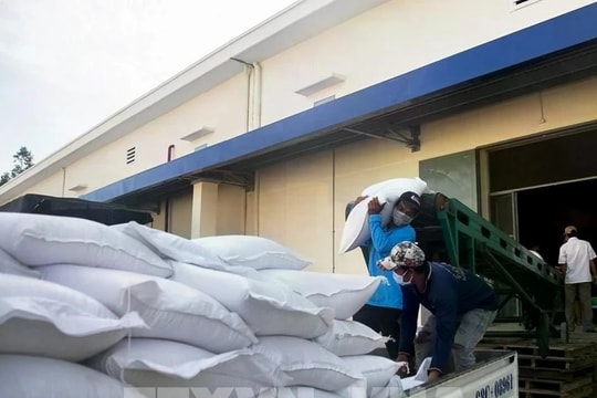 Over 5,500 tonnes of rice allocated to eight localities