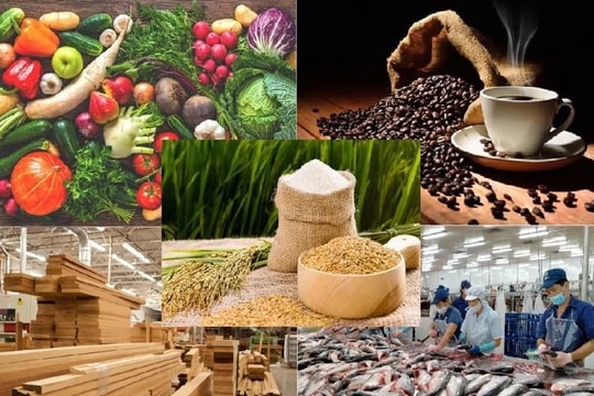 Xuất khẩu nông sản cần lưu ý những quy định mới tại các thị trường