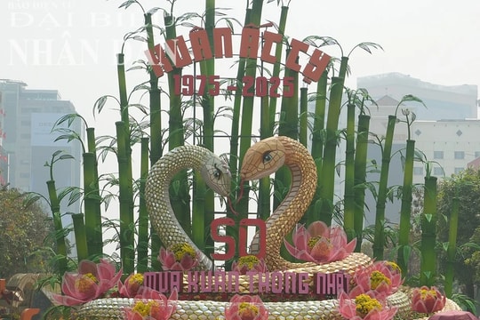 TP. Hồ Chí Minh: Đường hoa Nguyễn Huệ rực rỡ, sẵn sàng đón khách du xuân