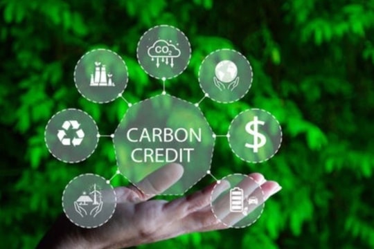 Chính phủ phê duyệt Đề án thành lập và phát triển thị trường carbon