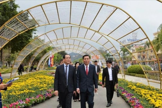 Đường hoa xứ Lạng khoe sắc đón xuân