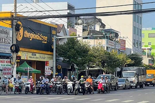 Trừ điểm và tước giấy phép lái xe đối với hàng trăm trường hợp vi phạm trong ngày mùng 1 Tết