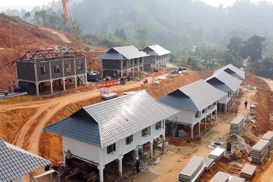 Mùa xuân về trong những ngôi nhà sau bão