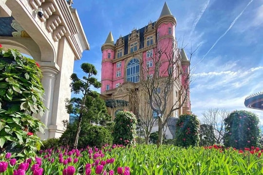 Sun World Ba Na Hills hứa hẹn hút khách dịp Tết Ất Tỵ với lễ hội hoa 2025 