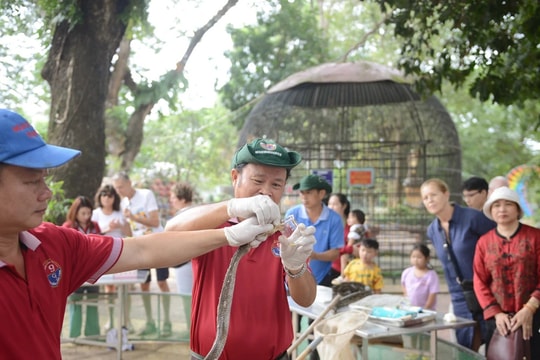Khám phá trại rắn lớn nhất Việt Nam – Điểm đến độc đáo cho du khách và nhà khoa học