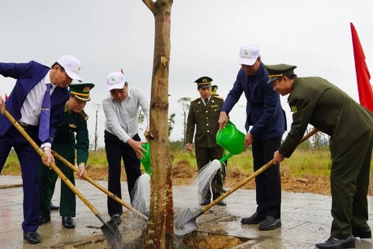 Quảng Bình hoàn thành trồng hơn 2,1 triệu cây xanh