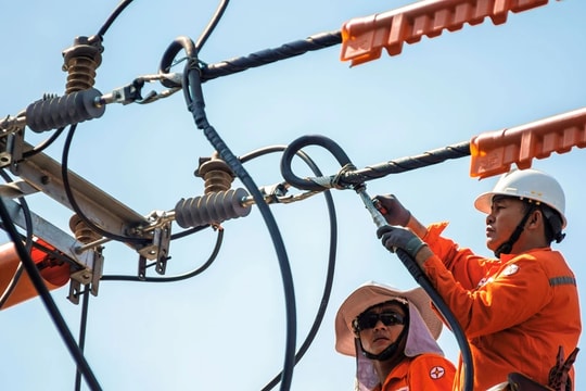Điện lực miền Nam bảo đảm điện an toàn, ổn định dịp Tết Ất Tỵ 2025 