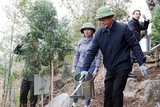 Lạng Sơn: Nhiều địa phương hưởng ứng "Tết trồng cây đời đời nhớ ơn Bác Hồ”