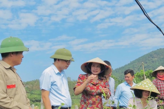 Giám sát đột xuất, tập trung các vấn đề “nóng”, “điểm nghẽn”