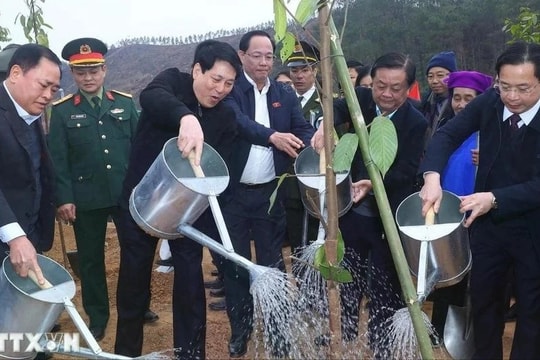 Chủ tịch nước Lương Cường: Mỗi cây xanh được trồng là một món quà vô giá cho thế hệ mai sau