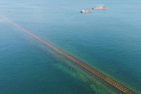 Lợi nhuận Tập đoàn Đạt Phương (DPG) tăng 13,4% trong quý IV.2024